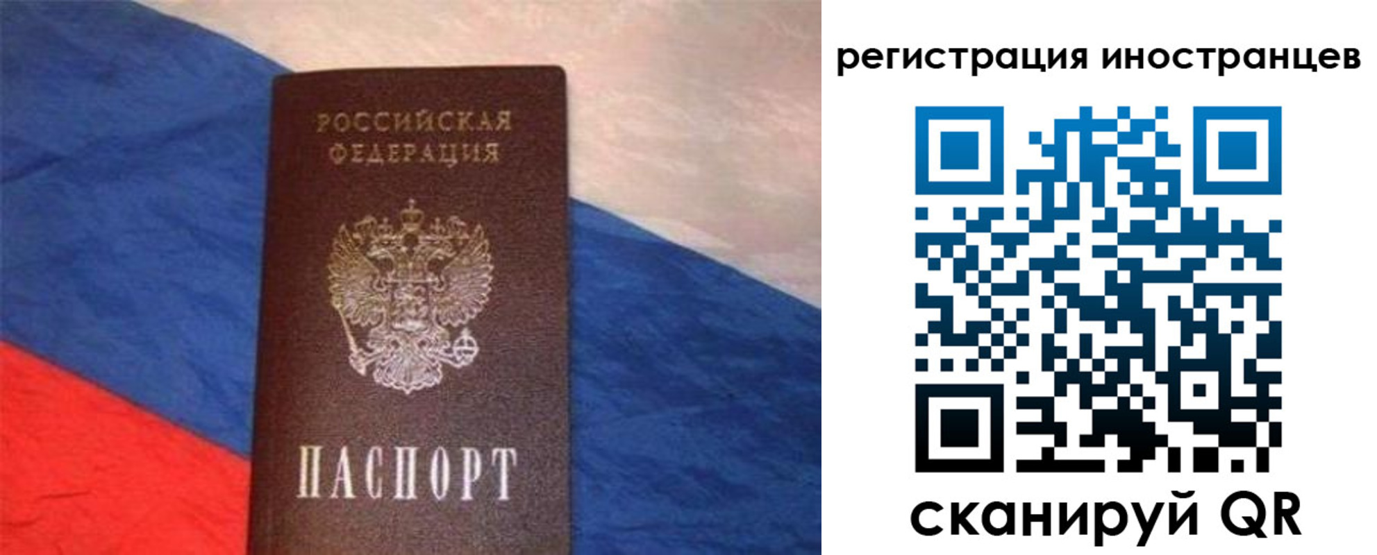 регистрация для школы в Электрогорске